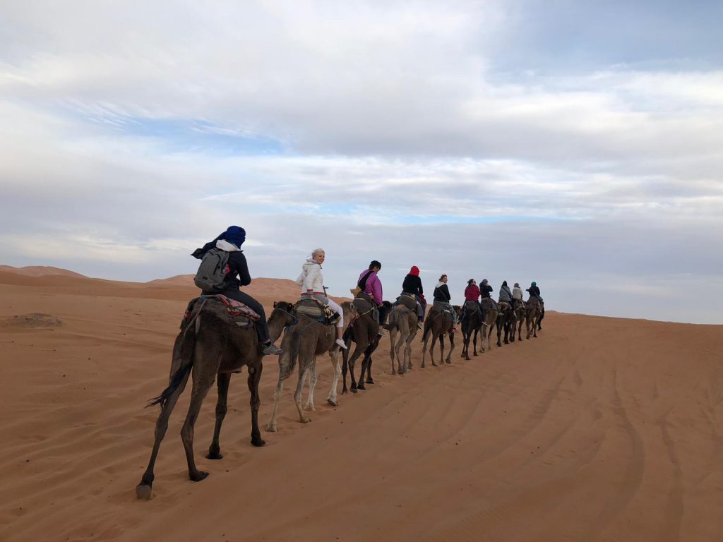 Viaggio sul cammello