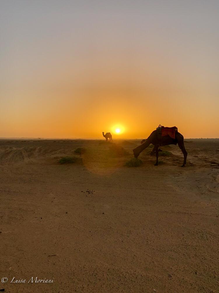 Opportunità del deserto